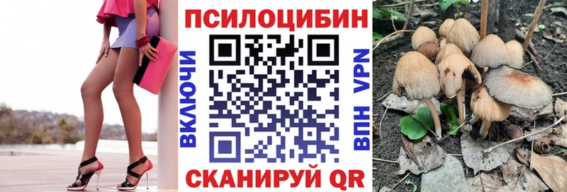 Псилоцибиновые грибы GOLDEN TEACHER  Макарьев 